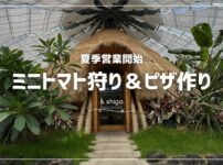 シンビオシスファームのトマト狩り